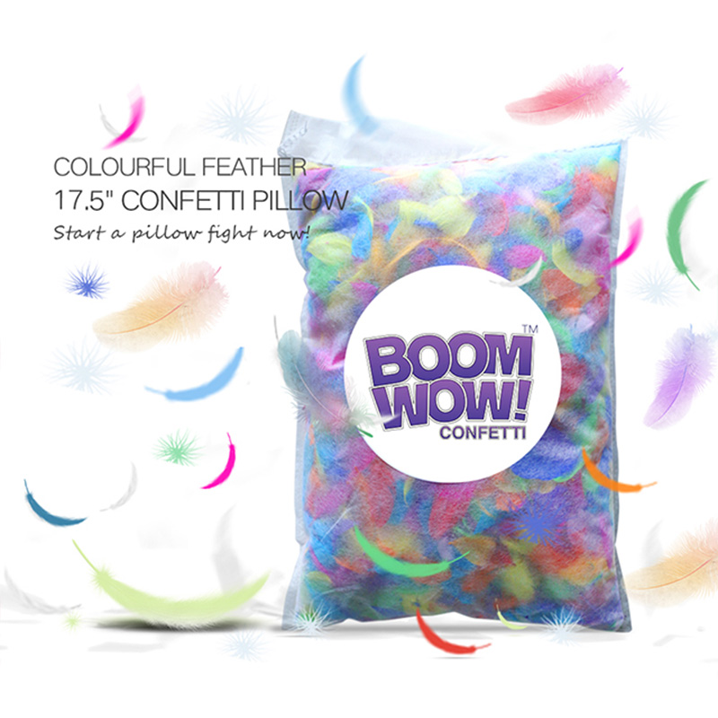 Colorful Feather Pillow