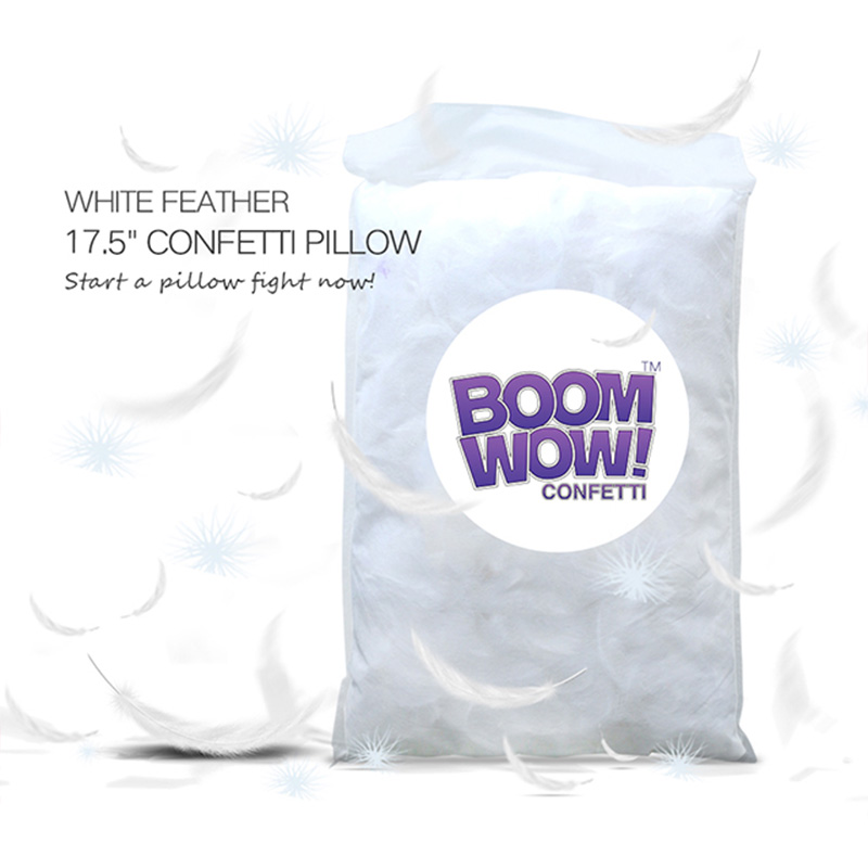 White Feather Pillow